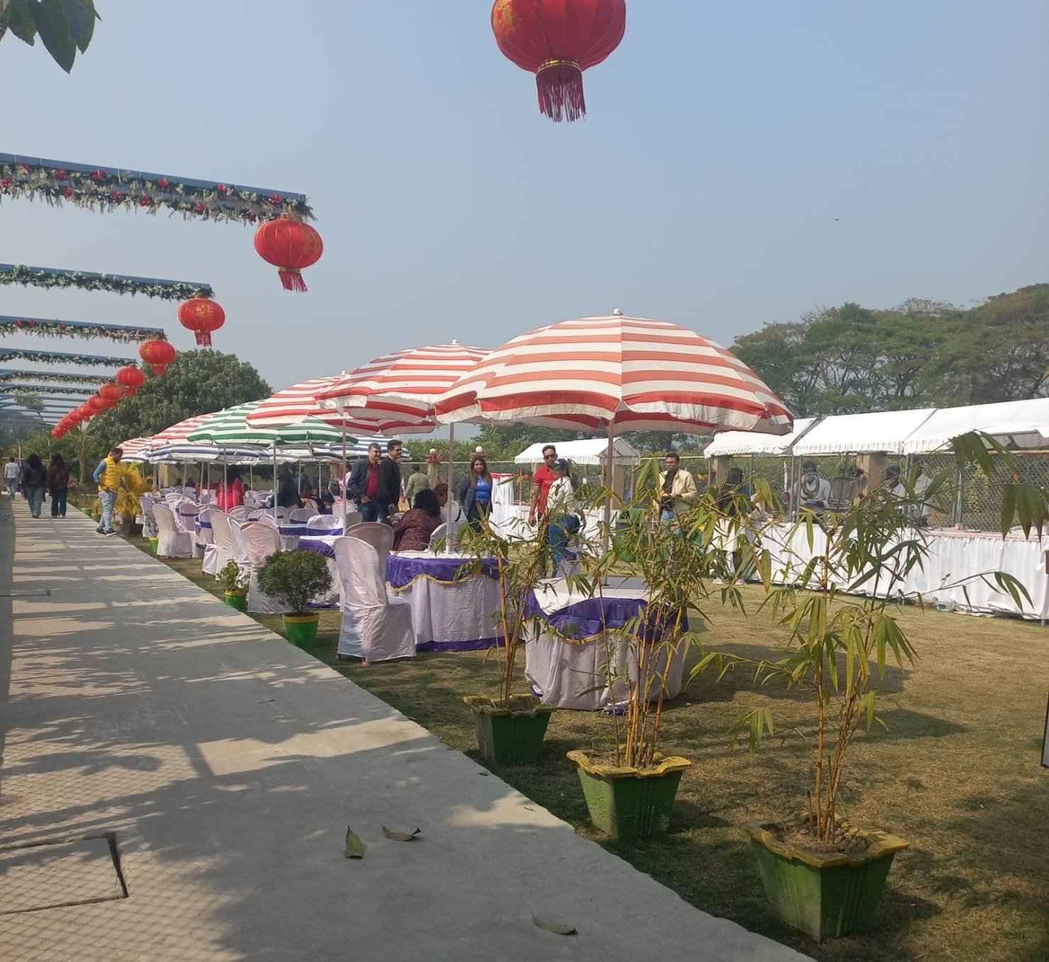 Venue Selection